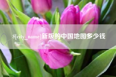 广汉新版的中国地图多少钱