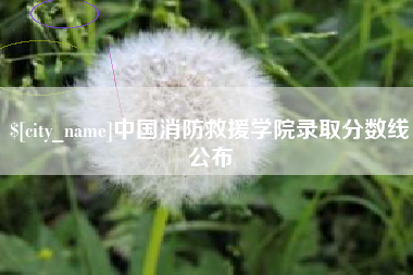 广汉中国消防救援学院录取分数线公布