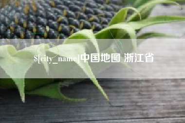 广汉中国地图 浙江省