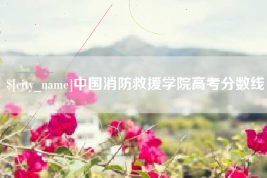 广汉中国消防救援学院高考分数线