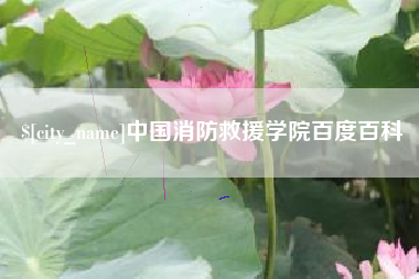广汉中国消防救援学院百度百科