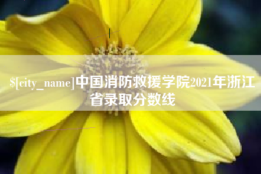 广汉中国消防救援学院2021年浙江省录取分数线