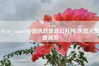 广汉中国执政信息公开网-失信人员查询页