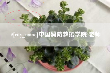 广汉中国消防救援学院 老师