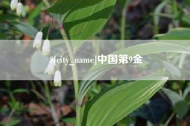 广汉中国第9金