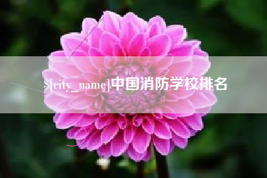 广汉中国消防学校排名