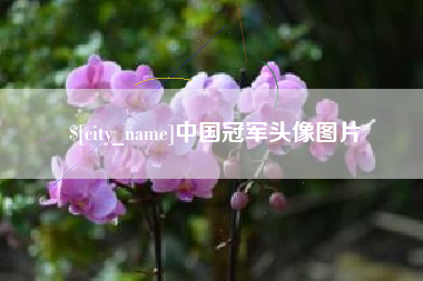 广汉中国冠军头像图片