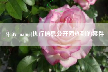 广汉执行信息公开网查到的案件