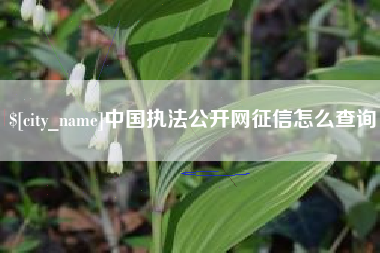 广汉中国执法公开网征信怎么查询
