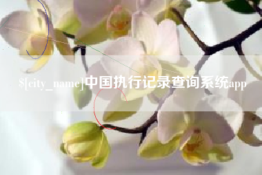 广汉中国执行记录查询系统app