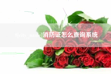 广汉消防证怎么查询系统