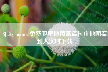 广汉免费卫星地图高清村庄地图看到人实时下载