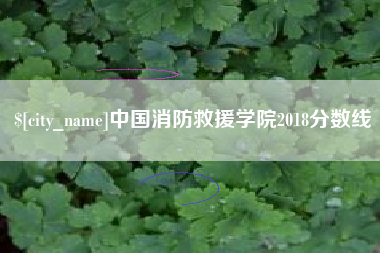 广汉中国消防救援学院2018分数线