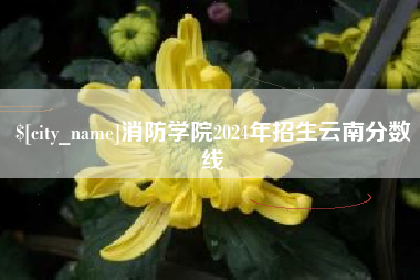 广汉消防学院2024年招生云南分数线