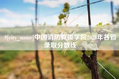 广汉中国消防救援学院2020年各省录取分数线