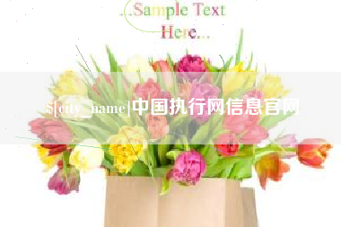 广汉中国执行网信息官网