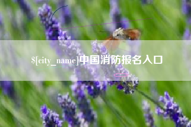 广汉中国消防报名入口