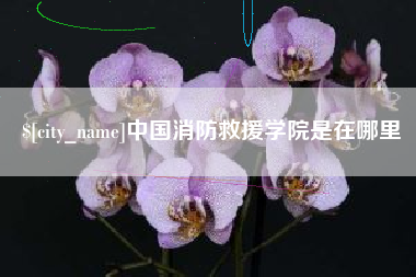 广汉中国消防救援学院是在哪里