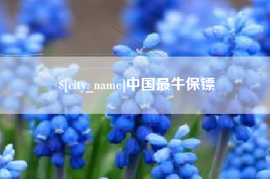 广汉中国最牛保镖