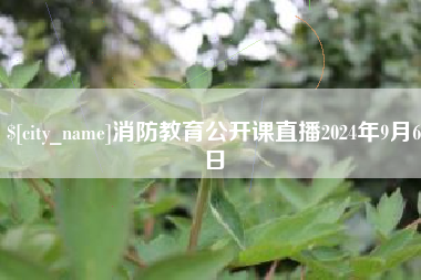广汉消防教育公开课直播2024年9月6日