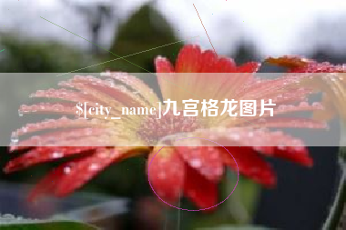 广汉九宫格龙图片