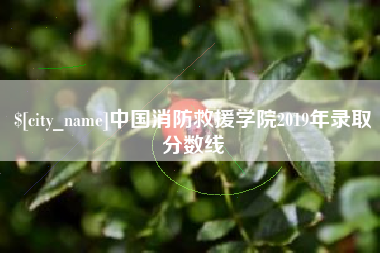 广汉中国消防救援学院2019年录取分数线