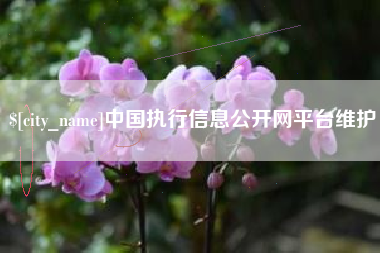 广汉中国执行信息公开网平台维护