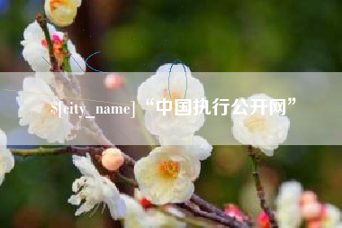 广汉“中国执行公开网”