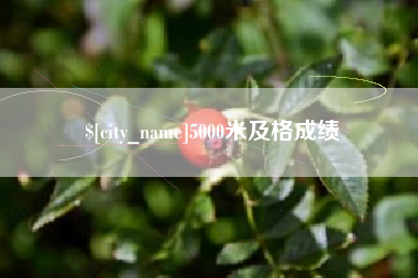 广汉5000米及格成绩