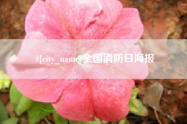广汉全国消防日海报