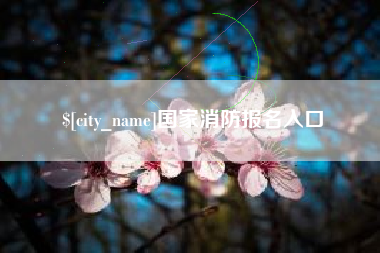广汉国家消防报名入口
