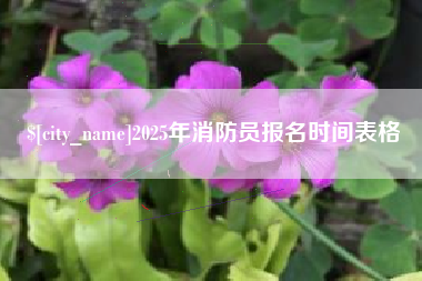 广汉2025年消防员报名时间表格