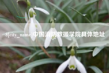广汉中国消防救援学院具体地址