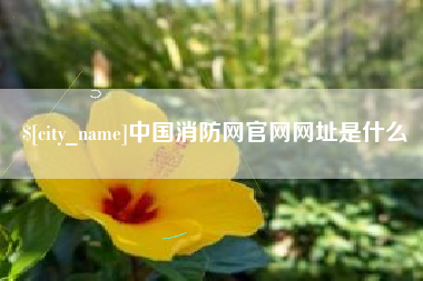 广汉中国消防网官网网址是什么
