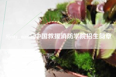 广汉中国救援消防学院招生简章