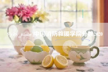 广汉中国消防救援学院分数2020