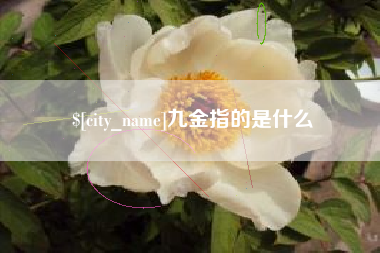 广汉九金指的是什么