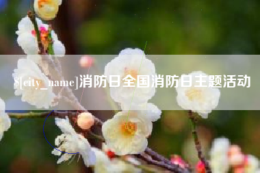 广汉消防日全国消防日主题活动