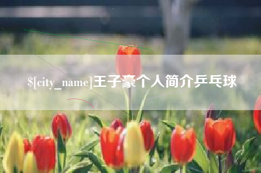 广汉王子豪个人简介乒乓球