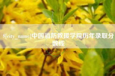 广汉中国消防救援学院历年录取分数线