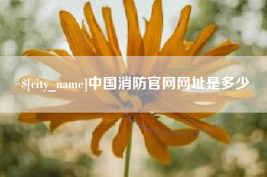 广汉中国消防官网网址是多少