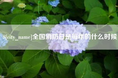 广汉全国消防日是每年的什么时候