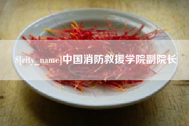 广汉中国消防救援学院副院长