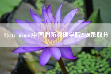 广汉中国消防救援学院2020录取分