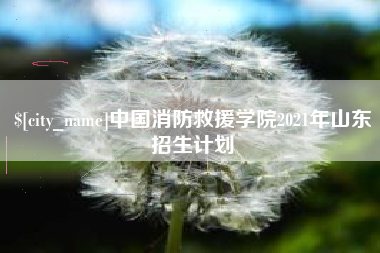 广汉中国消防救援学院2021年山东招生计划