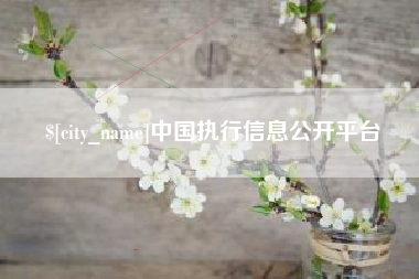 广汉中国执行信息公开平台
