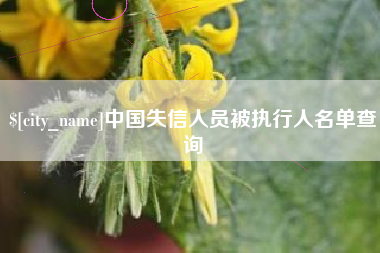 广汉中国失信人员被执行人名单查询