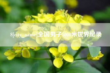 广汉全国男子5000米世界纪录