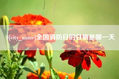 广汉全国消防日的日期是哪一天