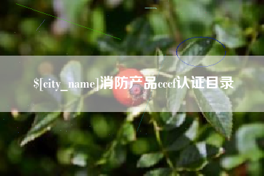 广汉消防产品cccf认证目录